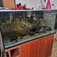 Acquario 300 lt - 120x50x50 - completo