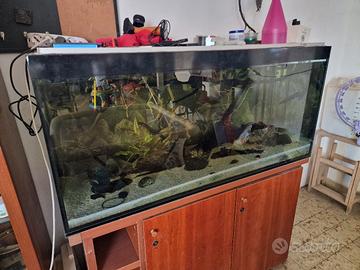 Acquario 300 lt - 120x50x50 - completo