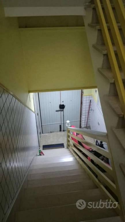 Appartamento – San Severo, Foggia - Vista 5