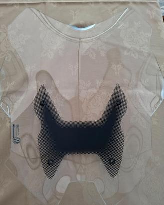 cupolino BMW R1200 RS Wunderlich