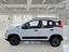 Immagine 5