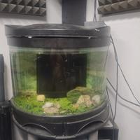 acquario curvo completo