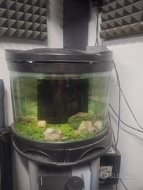 acquario curvo completo