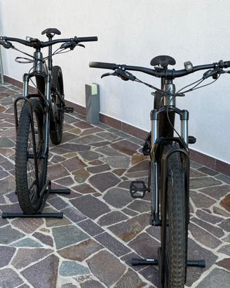 Coppia E-bike