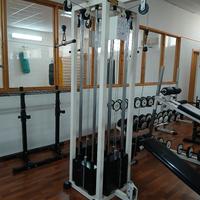 Poliercolina Technogym 
