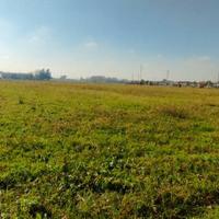 Preganziol - Terreno Agricolo-Bio di 6 Ettari