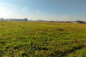 Preganziol - Terreno Agricolo-Bio di 6 Ettari