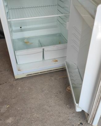 Frigo