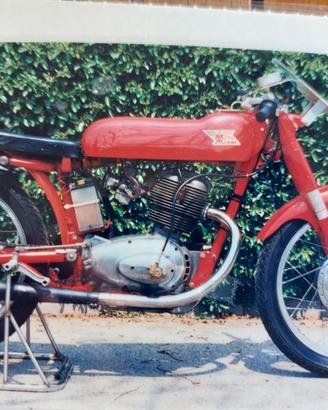 Morini Tresette Sprint175 - preparato corsa - FMI