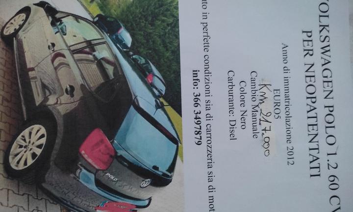 automobile volkswagen polo 