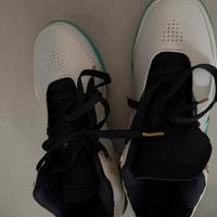 Scarpe da basket, LeBron James