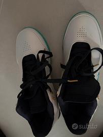 Scarpe da basket, LeBron James