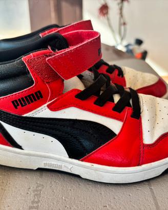 Puma bambino/a