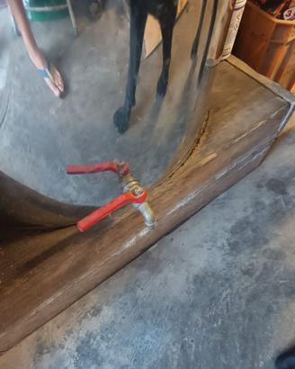 Botti Acciaio Inox vino 300 LT