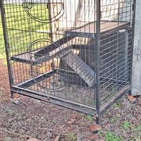 gabbia voliera coniglio sinsila porcellino d'india