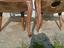 Immagine 2