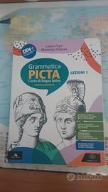 Grammatica Picta 