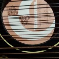 cetra mandolino 'MUSIMA -zitex / accord 