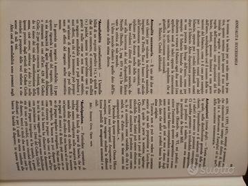 Dizionario delle Scienze Economiche e Commerciali