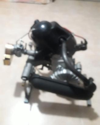 MOTORE 125 Primavera