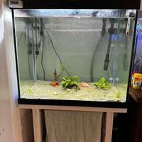 Acquario Juwel