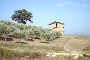 .Casa in costruzione con 8800 mq di terreno vista