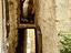 Immagine 25