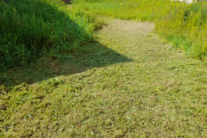 Terreno con casa campidanese da ristrutturare