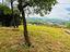 Immagine 25