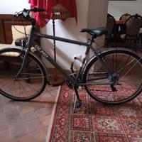 Bicicletta Trekking Olmo Borgo 7v Man TO6307-M