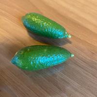 Finger lime