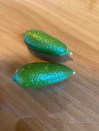 Finger lime