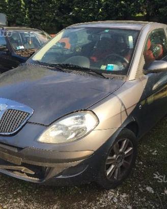 Ricambi per Lancia Ypsilon 1.4 16V del 04 843A1000