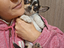 Immagine 5