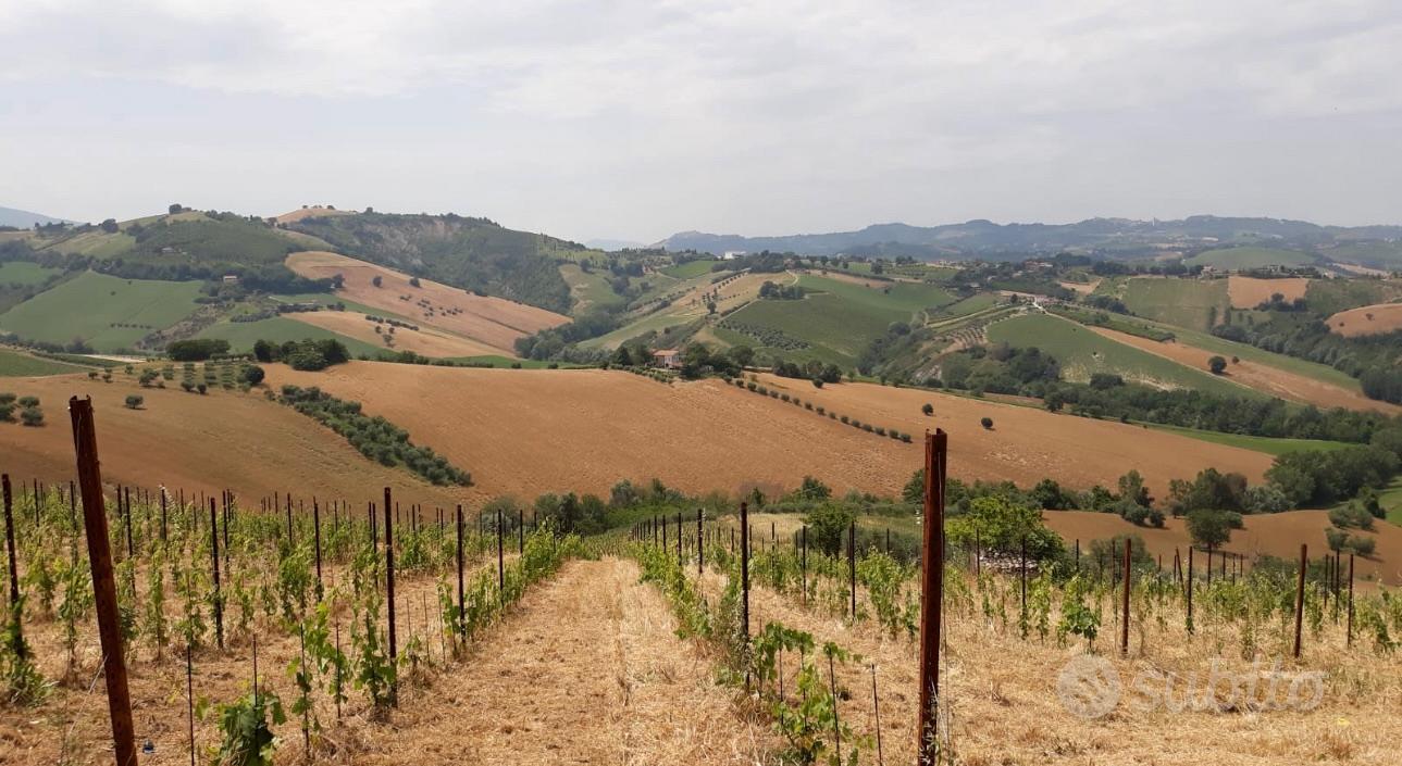 Fabbricato rurale+Terreno - Vista 4
