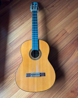 Chitarra EKO