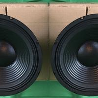 Diffusori Altoparlanti Speaker Woofer "10" 2X 300W