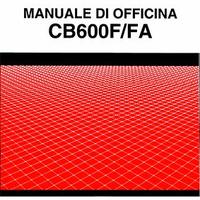 TRATTATO HONDA CB 600 F FA - HORNET