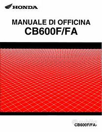 TRATTATO HONDA CB 600 F FA - HORNET