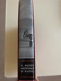 Il Museo Nazionale di Napoli - De Franciscis