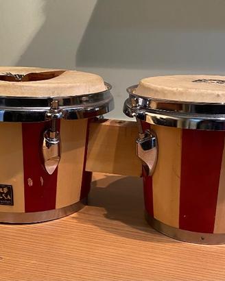 Bongo - Club Salsa Percussion