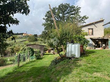 TER. AGRICOLO A AMELIA