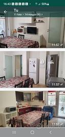 1 (una) stanza matrimoniale singola a studentessa