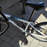 Bicicletta Bambino ruota da 20"