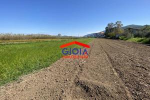 Terreno di 3333 m² a Sessa Aurunca