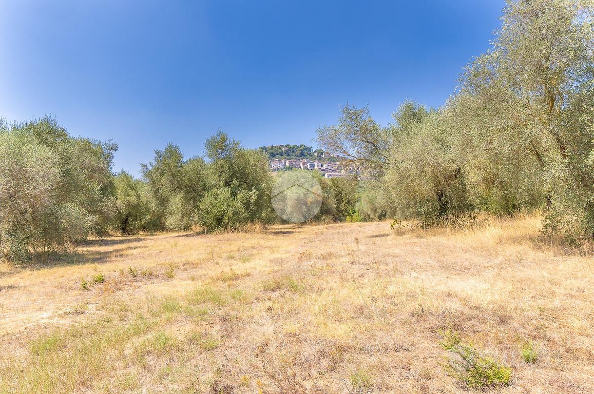 TER. AGRICOLO A GUIDONIA MONTECELIO - Vista 2