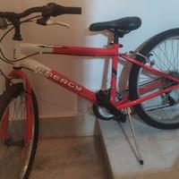 bicicletta mountain bike