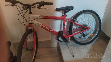 bicicletta mountain bike