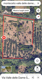 Terreno agricolo 10.000 metri quadri