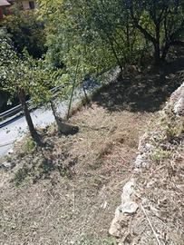 terreni su fasce 